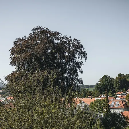 Zantl Bad Tölz