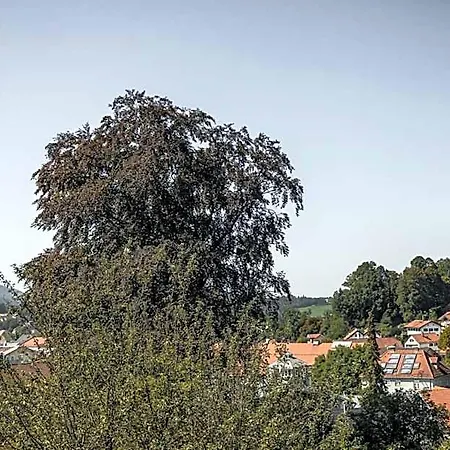 Zantl * Bad Tölz