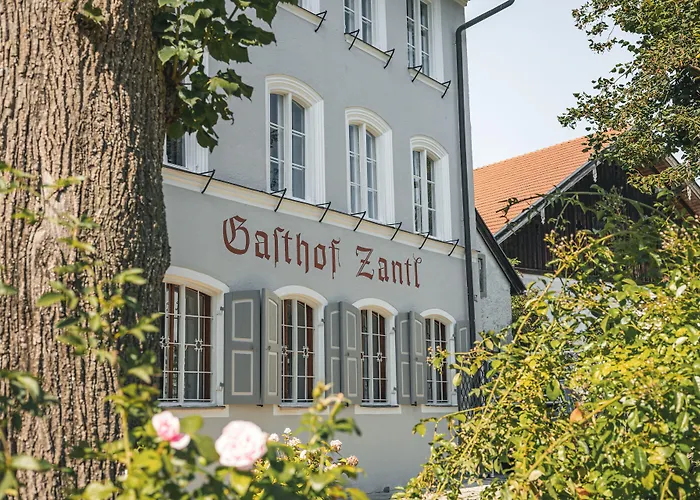 Zantl 바트톨즈